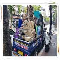 투건용달이사.화물(안양용달이사) PC 갤러리 18